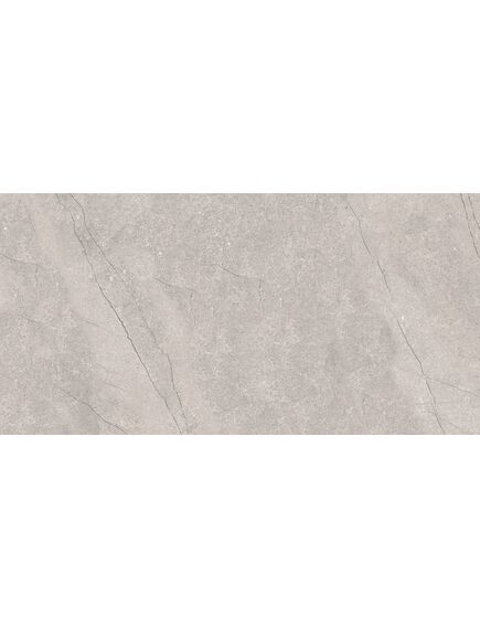 Купить Керамогранит Azario Fossil Grey Matt E4040821120M 60х120 см (e4040821120m) по цене 1102 руб., в Санкт-Петебруге в интернет магазине 100-Систем, а также дургие товары Azario из раздела Керамогранит и Напольные покрытия