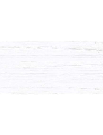 Купить Керамогранит Azario Salent Grey Glossy F2070821120G 60х120 см (f2070821120g) по цене 1799 руб., в Санкт-Петебруге в интернет магазине 100-Систем, а также дургие товары Azario из раздела Керамогранит и Напольные покрытия