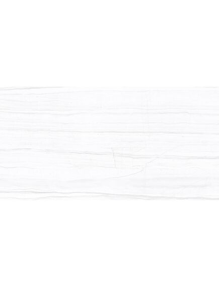 Купить Керамогранит Azario Salent Grey Glossy F2070821120G 60х120 см (f2070821120g) по цене 1799 руб., в Санкт-Петебруге в интернет магазине 100-Систем, а также дургие товары Azario из раздела Керамогранит и Напольные покрытия