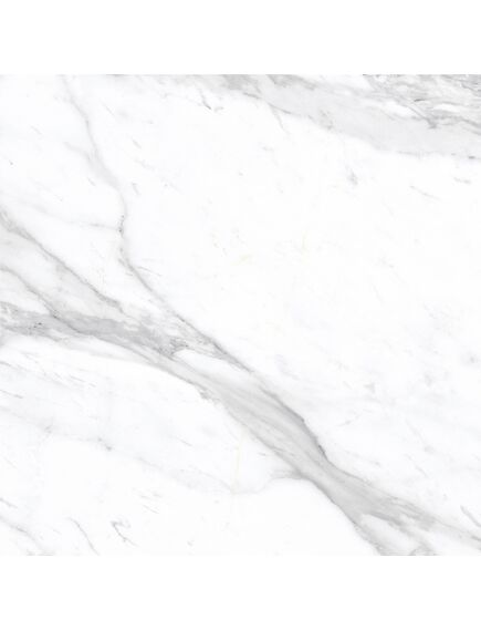 Купить Керамогранит Azario Afion Classic Glossy E102082160G 60х60 см (e102082160g) по цене 1799 руб., в Санкт-Петебруге в интернет магазине 100-Систем, а также дургие товары Azario из раздела Керамогранит и Напольные покрытия