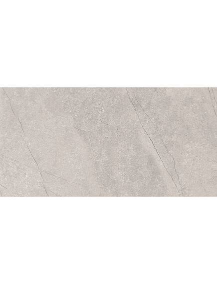 Купить Керамогранит Azario Fossil Grey Matt E4040821120M 60х120 см (e4040821120m) по цене 1102 руб., в Санкт-Петебруге в интернет магазине 100-Систем, а также дургие товары Azario из раздела Керамогранит и Напольные покрытия