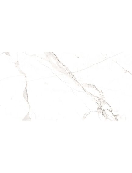 Купить Керамогранит Azario Statuario Classic Matt F2020821120M 60х120 см (f2020821120m) по цене 1799 руб., в Санкт-Петебруге в интернет магазине 100-Систем, а также дургие товары Azario из раздела Керамогранит и Напольные покрытия