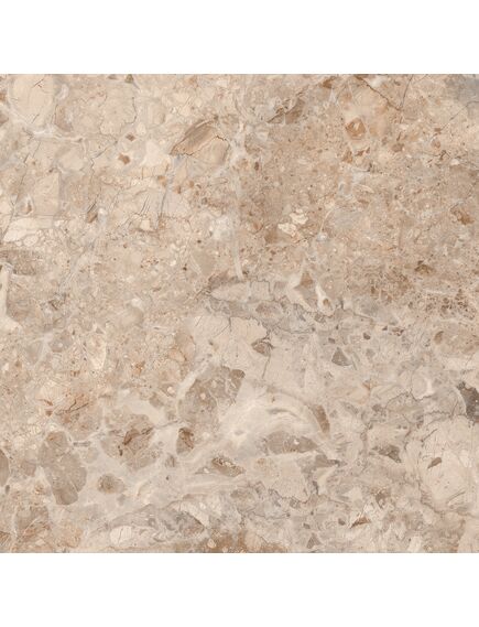 Купить Керамогранит Azario Rainbol Brown Glossy E110082160G 60х60 см (e110082160g) по цене 1052 руб., в Санкт-Петебруге в интернет магазине 100-Систем, а также дургие товары Azario из раздела Керамогранит и Напольные покрытия