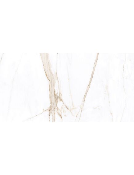 Купить Керамогранит Azario Bianca White Glossy F3010821120G 60х120 см (f3010821120g) по цене 1799 руб., в Санкт-Петебруге в интернет магазине 100-Систем, а также дургие товары Azario из раздела Керамогранит и Напольные покрытия