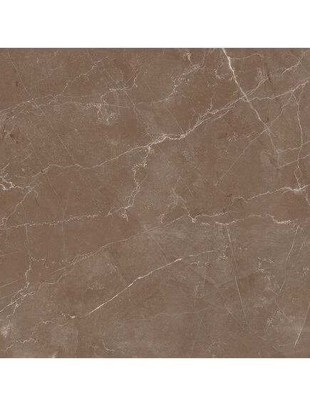 Купить Керамогранит Azario Essens Choco High Glossy E112082160HG 60х60 см (e112082160hg) по цене 1246 руб., в Санкт-Петебруге в интернет магазине 100-Систем, а также дургие товары Azario из раздела Керамогранит и Напольные покрытия