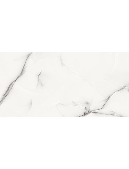 Купить Керамогранит Azario Onyx Grey Glossy P3211112138G 60х120 (p3211112138g) по цене 1799 руб., в Санкт-Петебруге в интернет магазине 100-Систем, а также дургие товары Azario из раздела Керамогранит и Напольные покрытия