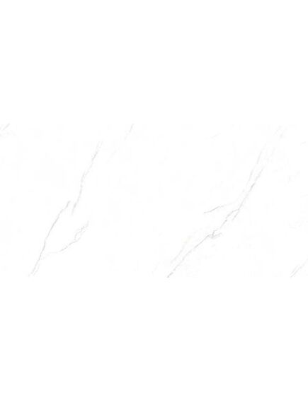 Купить Керамический гранит AZARIO VALENCIA WHITE 80х160 Matt (p231123009m) по цене 2250 руб., в Санкт-Петебруге в интернет магазине 100-Систем, а также дургие товары Azario из раздела Керамогранит и Напольные покрытия