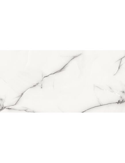 Купить Керамогранит Azario Onyx Grey Glossy P3211112138G 60х120 (p3211112138g) по цене 1799 руб., в Санкт-Петебруге в интернет магазине 100-Систем, а также дургие товары Azario из раздела Керамогранит и Напольные покрытия