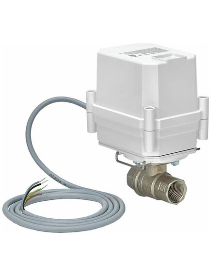 Купить ШЭП PROFESSIONAL 12V BONOMI ½”  BS (11081031) по цене 12353.9 руб., в Санкт-Петебруге в интернет магазине 100-Систем, а также дургие товары GidroLock из раздела Защита от протечек и Предохранительная арматура