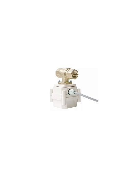 Купить ШЭП PROFESSIONAL 12V TIEMME ½” BS (11081011) по цене 10537.15 руб., в Санкт-Петебруге в интернет магазине 100-Систем, а также дургие товары GidroLock из раздела Защита от протечек и Предохранительная арматура