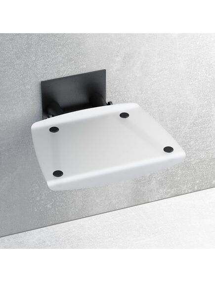 Купить Cиденье для душа Ravak Ovo-B B8F0000045, Clear/Black (b8f0000045) по цене 21230 руб., в Санкт-Петебруге в интернет магазине 100-Систем, а также дургие товары RAVAK из раздела Поручни, сиденья, стойки для ванны и душа и Аксессуары для ванной комнаты