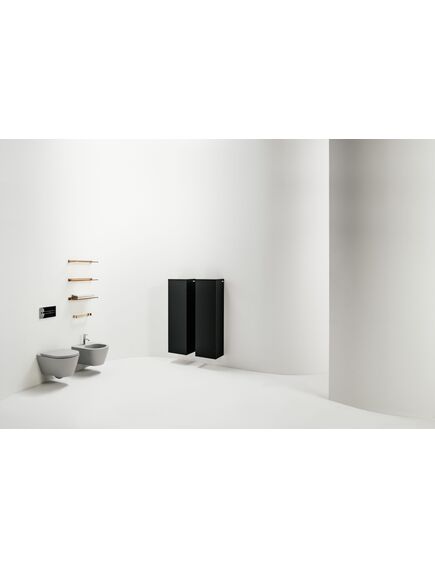 Купить Биде Laufen Kartell by Laufen подвесное, 1 отверстие, матовый белый 8.3033.1.757.302.1 (8.3033.1.757.302.1) по цене 59161.12 руб., в Санкт-Петебруге в интернет магазине 100-Систем, а также дургие товары LAUFEN из раздела Биде подвесные и Биде и писсуары