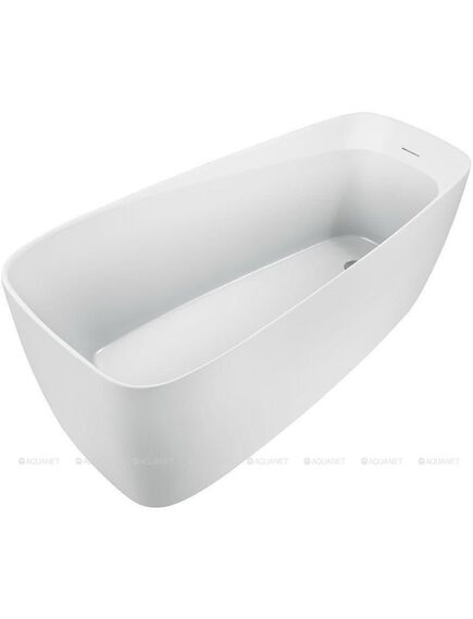 Купить Акриловая ванна Aquanet Family Trend 170x78 90778 Matt Finish (90778-mw) по цене 137080 руб., в Санкт-Петебруге в интернет магазине 100-Систем, а также дургие товары AQUANET из раздела Акриловые ванны и Ванны