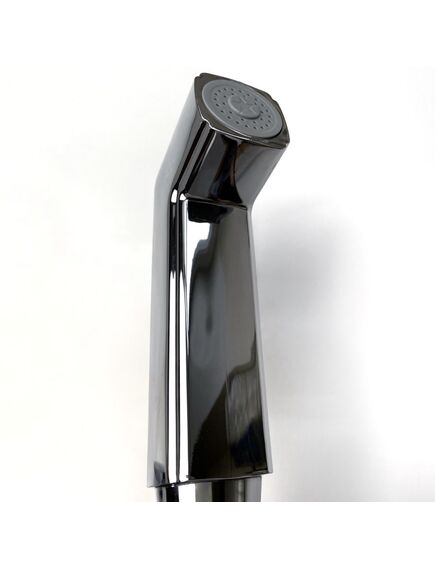 Купить Смеситель для раковины Paini Torre с гигиеническим душем (98cr205/574) по цене 13310 руб., в Санкт-Петебруге в интернет магазине 100-Систем, а также дургие товары Paini из раздела Гигиенический душ со смесителем и Гигиенический душ
