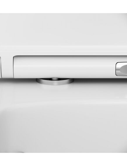 Купить Комплект унитаза с инсталляцией AM.PM Inspire V2.0 FlashClean IS47001.50A1700 с сиденьем Микролифт и клавишей смыва Белый (is47001.50a1700) по цене 67590 руб., в Санкт-Петебруге в интернет магазине 100-Систем, а также дургие товары AM.PM из раздела Готовые решения и Инсталляции
