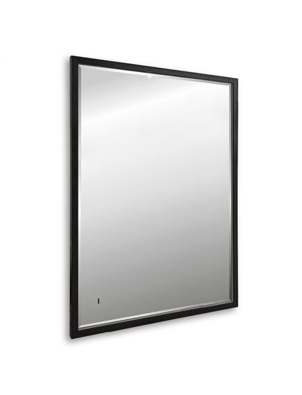 Купить Зеркало ABBER See AG6110SC-0.65 с подсветкой, бесконтактный выключатель, диммер, черный (ag6110sc-0.65) по цене 22300 руб., в Санкт-Петебруге в интернет магазине 100-Систем, а также дургие товары ABBER из раздела Зеркала и Мебель для ванной комнаты