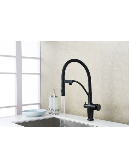 Купить Смеситель Lemark Bronx LM3761BL для кухни с подключением к фильтру с питьевой водой (lm3761bl) по цене 29390 руб., в Санкт-Петебруге в интернет магазине 100-Систем, а также дургие товары LEMARK из раздела Смесители с подключением фильтра и Смесители для кухни