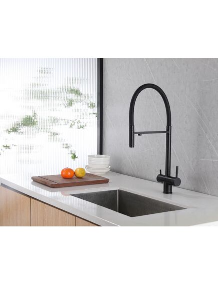 Купить Смеситель ABBER Wasser Kreis AF81141B для кухни с подключением фильтра и выдвижной лейкой, черный матовый (af81141b) по цене 28000 руб., в Санкт-Петебруге в интернет магазине 100-Систем, а также дургие товары ABBER из раздела Смесители с подключением фильтра и Смесители для кухни