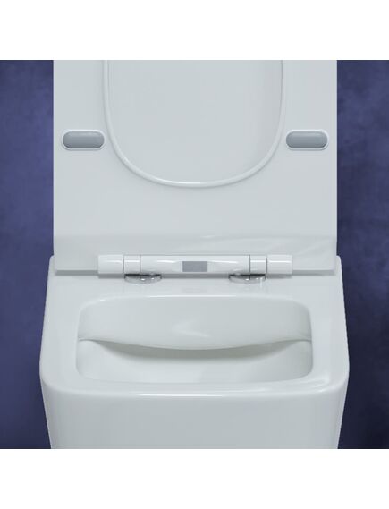 Купить Унитаз BERGES подвесной FLOE 55 см, сиденье дюропласт Floe Slim SO, микролифт, быстросьем (082121) по цене 24990 руб., в Санкт-Петебруге в интернет магазине 100-Систем, а также дургие товары BERGES из раздела Унитазы подвесные и Унитазы