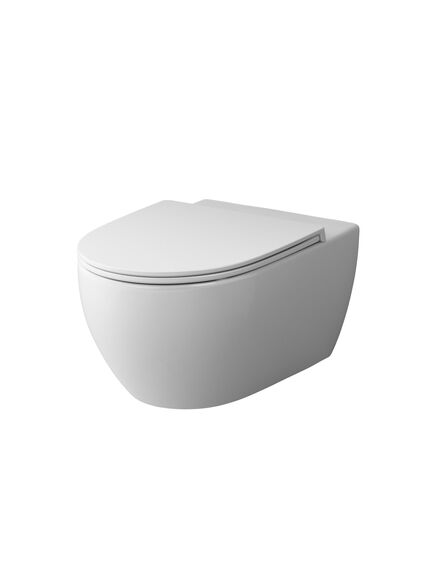 Купить C111700SC Awe подвесной унитаз FlashClean с сиденьем микролифт (C111700SC) по цене 17990 руб., в Санкт-Петебруге в интернет магазине 100-Систем, а также дургие товары AM.PM из раздела Унитазы подвесные и Унитазы