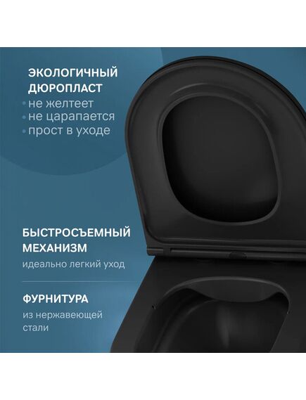 Купить C8F1700MBSC Func подвесной унитаз 49 см FlashClean с сиденьем микролифт, черн мат (c8f1700mbsc) по цене 51790 руб., в Санкт-Петебруге в интернет магазине 100-Систем, а также дургие товары AM.PM из раздела Унитазы подвесные и Унитазы