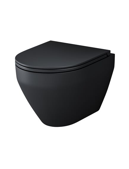 Купить Подвесной унитаз AM.PM FlashClean с сиденьем микролифт Spirit V2.0 C701700MBSC (c701700mbsc) по цене 39990 руб., в Санкт-Петебруге в интернет магазине 100-Систем, а также дургие товары AM.PM из раздела Унитазы подвесные и Унитазы