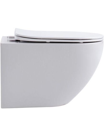 Купить Унитаз подвесной Aquanet Rimless Cetus 2.0 W LX-1901 (cetus 2.0 w) по цене 20930 руб., в Санкт-Петебруге в интернет магазине 100-Систем, а также дургие товары AQUANET из раздела Унитазы подвесные и Унитазы