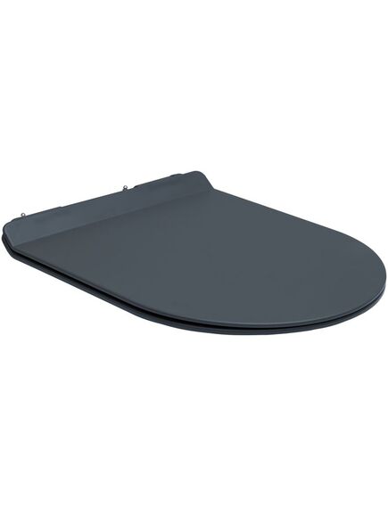 Купить Унитаз подвесной Aquanet Rimless Cetus-GW BL-102N-WHT серый (CETUS-GW) по цене 30490 руб., в Санкт-Петебруге в интернет магазине 100-Систем, а также дургие товары AQUANET из раздела Унитазы подвесные и Унитазы