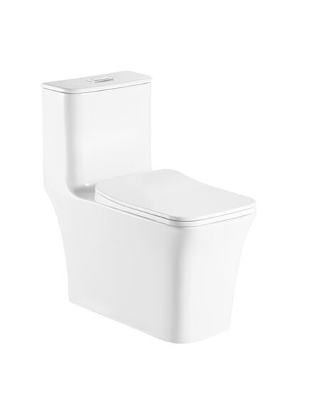 Купить Унитаз-моноблок Azario Gressa AZ-1111 напольный белый (az-1111) по цене 17250 руб., в Санкт-Петебруге в интернет магазине 100-Систем, а также дургие товары Azario из раздела Унитазы-компакт с бачком и Унитазы