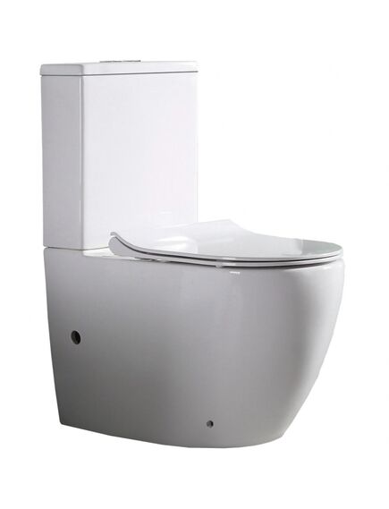 Купить CeramaLux NS 2176 Унитаз напольный (ns-2176) по цене 21500 руб., в Санкт-Петебруге в интернет магазине 100-Систем, а также дургие товары CeramaLux из раздела Горизонтальный выпуск и Унитазы-компакт с бачком