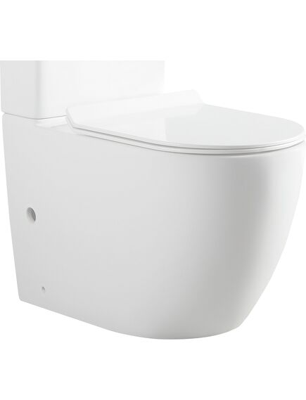Купить Чаша напольного унитаза Aquanet Rimless Cetus-C1 BL-102N-TPT (cetus-c1) по цене 21490 руб., в Санкт-Петебруге в интернет магазине 100-Систем, а также дургие товары AQUANET из раздела Унитазы приставные и Унитазы