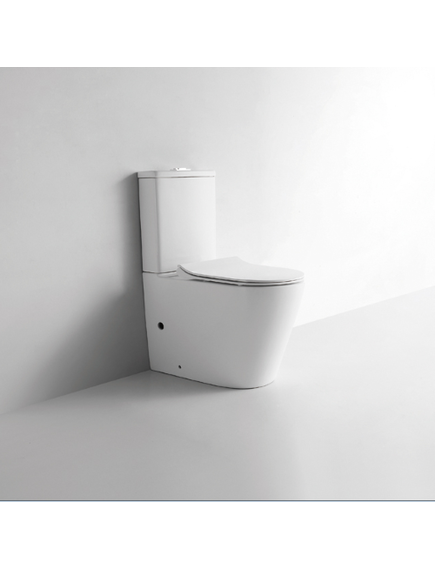 Купить CeramaLux NS 2178 Унитаз напольный (ns-2178) по цене 21500 руб., в Санкт-Петебруге в интернет магазине 100-Систем, а также дургие товары CeramaLux из раздела Горизонтальный выпуск и Унитазы-компакт с бачком