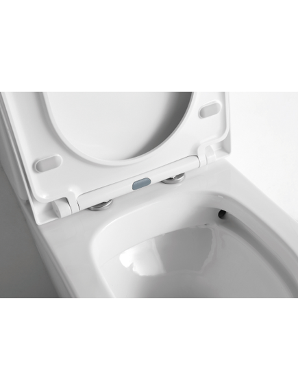 Купить CeramaLux NS 2178 Унитаз напольный (ns-2178) по цене 21500 руб., в Санкт-Петебруге в интернет магазине 100-Систем, а также дургие товары CeramaLux из раздела Горизонтальный выпуск и Унитазы-компакт с бачком