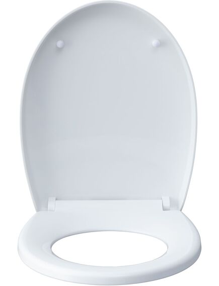 Купить Унитаз подвесной Aquanet ZV-1 белый (zv-1) по цене 20930 руб., в Санкт-Петебруге в интернет магазине 100-Систем, а также дургие товары AQUANET из раздела Унитазы подвесные и Унитазы Купить Унитаз подвесной Aquanet ZV-1 белый (zv-1) по цене 20930 руб., в Санкт-Петебруге в интернет магазине 100-Систем, а также дургие товары AQUANET из раздела Унитазы подвесные и Унитазы