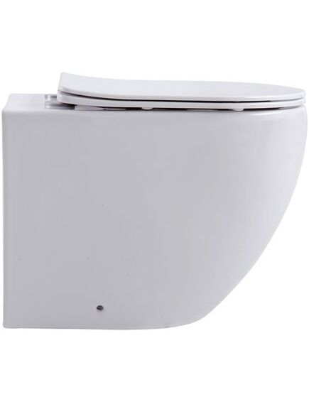 Купить Унитаз приставной Aquanet Rimless Cetus 2.0 F LX-1902 (cetus 2.0 f) по цене 21560 руб., в Санкт-Петебруге в интернет магазине 100-Систем, а также дургие товары AQUANET из раздела Унитазы приставные и Унитазы