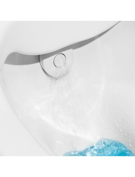 Купить Электронная чаша-биде Laufen Cleanet Navia белый 8.2060.1.400.000.1 (8.2060.1.400.000.1) по цене 201204.77 руб., в Санкт-Петебруге в интернет магазине 100-Систем, а также дургие товары LAUFEN из раздела Электронные и Унитазы