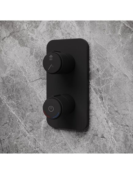 Купить Встраиваемый смеситель с двумя выходами с управлением Push Control, черный матовый, Slide, IDDIS, SLIBLBTi67 (sliblbti67) по цене 5990 руб., в Санкт-Петебруге в интернет магазине 100-Систем, а также дургие товары IDDIS из раздела Смесители для встраиваемых систем и Комплектующие для встраиваемых систем