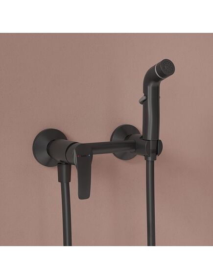 Купить Гигиенический душ со смесителем IDDIS Ray RAYBL00i08 Черный матовый (raybl00i08) по цене 10990 руб., в Санкт-Петебруге в интернет магазине 100-Систем, а также дургие товары IDDIS из раздела Гигиенический душ со смесителем и Гигиенический душ