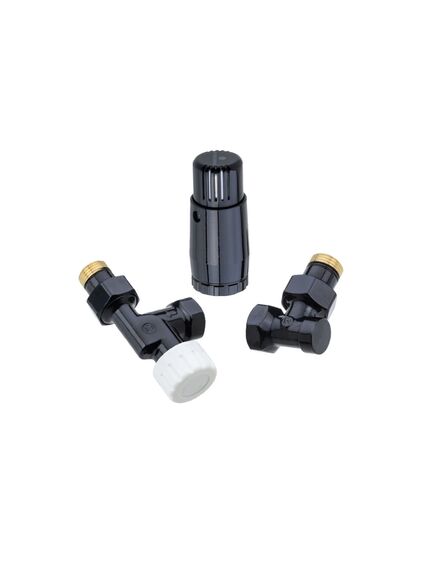 Купить Комплект аксиальный DN15 GZ 1/2* GW 1/2 с головкой Мини M30*1,5 Ral 9005 (602200126  ral 9005) по цене 12240 руб., в Санкт-Петебруге в интернет магазине 100-Систем, а также дургие товары Schlosser из раздела Радиаторные клапаны и Радиаторная арматура