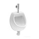 Купить Писсуар Roca Mini 353145000 (353145000) по цене 7090 руб., в Санкт-Петебруге в интернет магазине 100-Систем, а также дургие товары ROCA из раздела Писсуары и Биде и писсуары