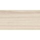 Купить Керамическая  плитка настенная NEW TREND Essense Beige WT9ESS11  249*500*8,5 (10 шт в уп/67.23 м в пал) (wt9ess11) по цене 1350 руб., в Санкт-Петебруге в интернет магазине 100-Систем, а также дургие товары NEW TREND из раздела Керамическая плитка и Напольные покрытия