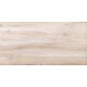 Купить Керамическая  плитка настенная NEW TREND Play Wood WT36PLY08  300*600*9 (10 шт в уп/57,6 м в пал) (wt36ply08) по цене 1490 руб., в Санкт-Петебруге в интернет магазине 100-Систем, а также дургие товары NEW TREND из раздела Керамическая плитка и Напольные покрытия