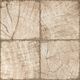 Купить Керамогранитная плитка NEW TREND матовый Ringwood Tik Brown GP6RIT21 , 410*410*8 (11 шт в уп/74 м в пал) (gp6rit21) по цене 1390 руб., в Санкт-Петебруге в интернет магазине 100-Систем, а также дургие товары NEW TREND из раздела Керамогранит и Напольные покрытия