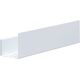 Купить Полка Aquanet Магнум 50x12 белая матовая, с крючками (302232) по цене 4612 руб., в Санкт-Петебруге в интернет магазине 100-Систем, а также дургие товары AQUANET из раздела Деревянные полки и Полки для ванной комнаты