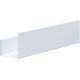 Купить Полка Aquanet Магнум 50x12 белая матовая, с крючками (302232) по цене 4612 руб., в Санкт-Петебруге в интернет магазине 100-Систем, а также дургие товары AQUANET из раздела Деревянные полки и Полки для ванной комнаты