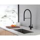 Купить Смеситель ABBER Wasser Kreis AF81141B для кухни с подключением фильтра и выдвижной лейкой, черный матовый (af81141b) по цене 25200 руб., в Санкт-Петебруге в интернет магазине 100-Систем, а также дургие товары ABBER из раздела Смесители с подключением фильтра и Смесители для кухни