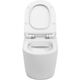 Купить Унитаз подвесной Aquanet Rimless Cetus-W BL-102N-WHT (cetus-w) по цене 20930 руб., в Санкт-Петебруге в интернет магазине 100-Систем, а также дургие товары AQUANET из раздела Унитазы подвесные и Унитазы