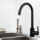 Купить Смеситель для кухни из нержавеющей стали EKO, EKO05-110Black (eko05-110black) по цене 3190 руб., в Санкт-Петебруге в интернет магазине 100-Систем, а также дургие товары Wesnaart из раздела Рычажные смесители и Смесители для кухни