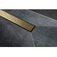 Купить Душевой лоток Pestan Confluo Frameless Line 750 Gold (13701223) по цене 110800 руб., в Санкт-Петебруге в интернет магазине 100-Систем, а также дургие товары Pestan из раздела Лотки и Душевые лотки и душевые трапы