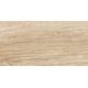 Купить Керамогранит Azario Sand Gold Glossy F2080821120G 60х120 см  (f2080821120g) по цене 1710 руб., в Санкт-Петебруге в интернет магазине 100-Систем, а также дургие товары Azario из раздела Керамогранит и Напольные покрытия